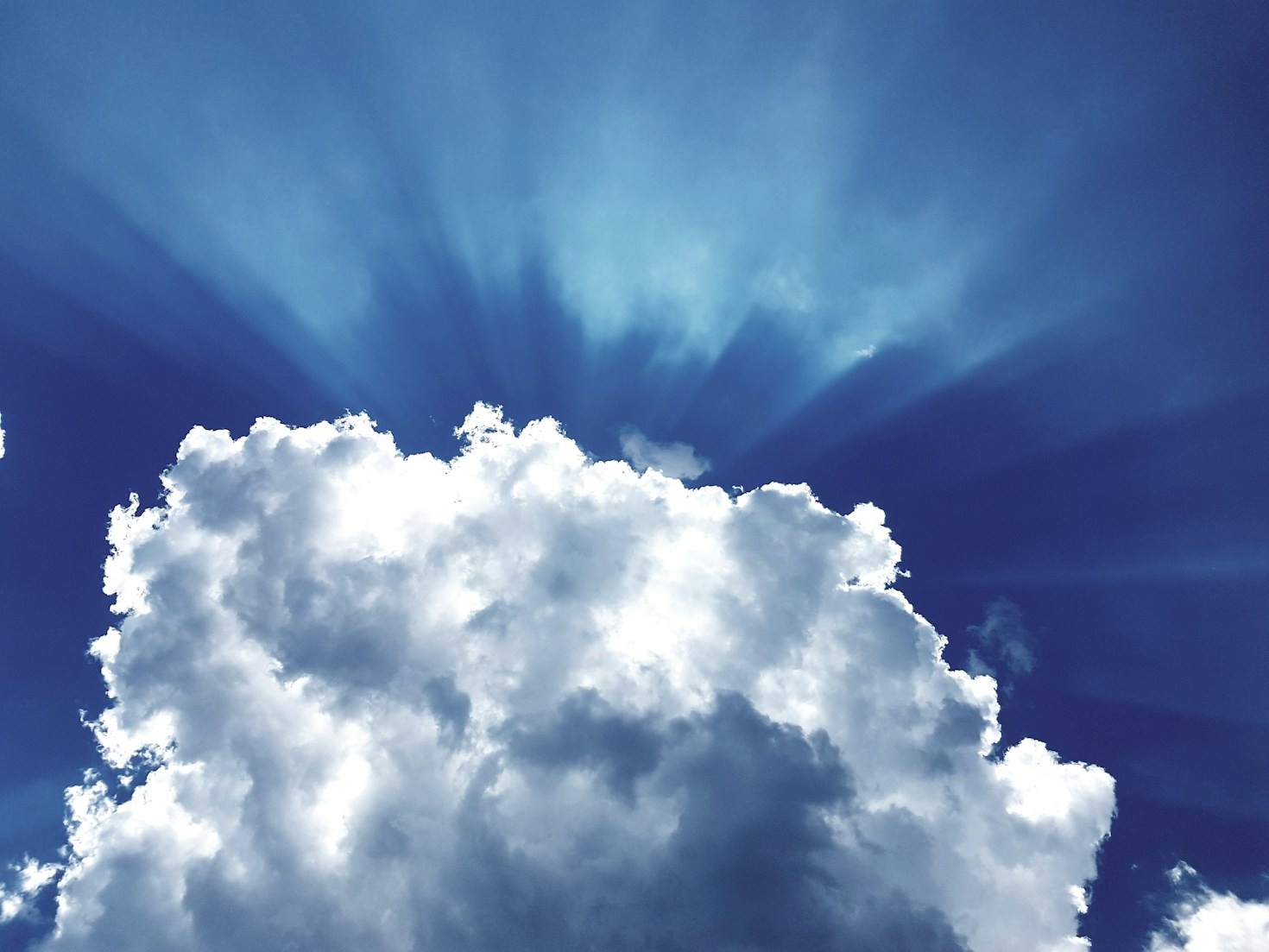 Faithful Living in the Light of His Return